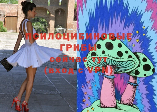 гашиш Няндома