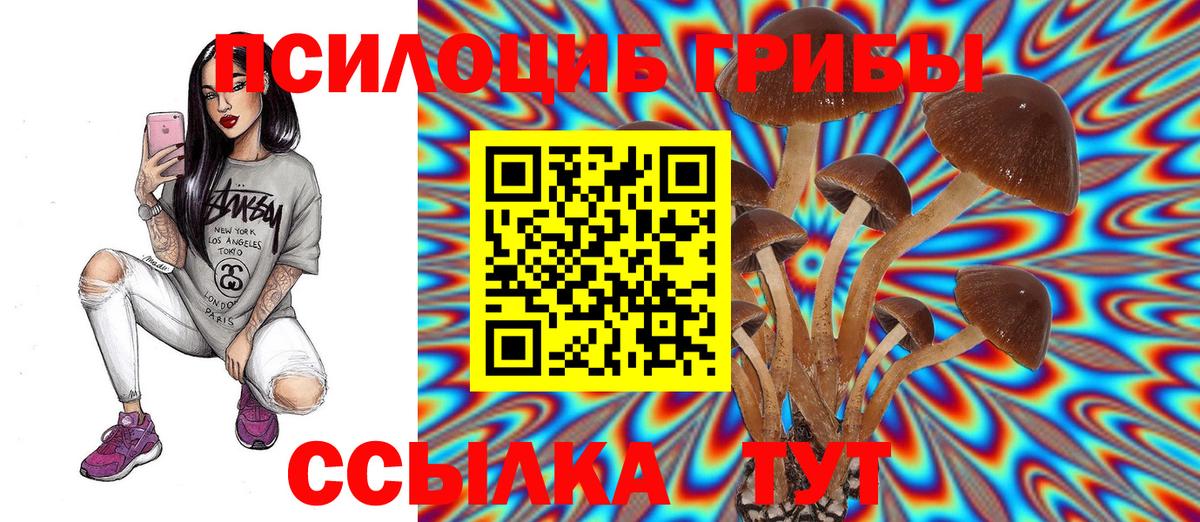 Галлюциногенные грибы Cubensis Семилуки