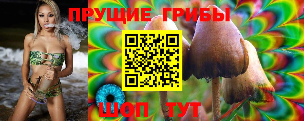 Псилоцибиновые грибы GOLDEN TEACHER  Вход с VPN  Семилуки  дарнет шоп  Галлюциногенные грибы прущие грибы 