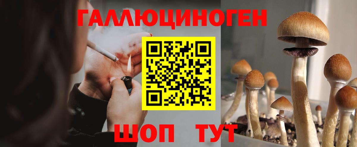 Галлюциногенные грибы Magic Shrooms Семилуки